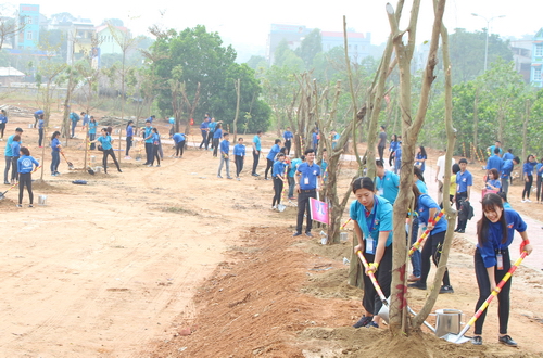 Đoàn Đại biểu thanh niên Trung Quốc tham gia trồng cây tại trường Đại học Hùng Vương